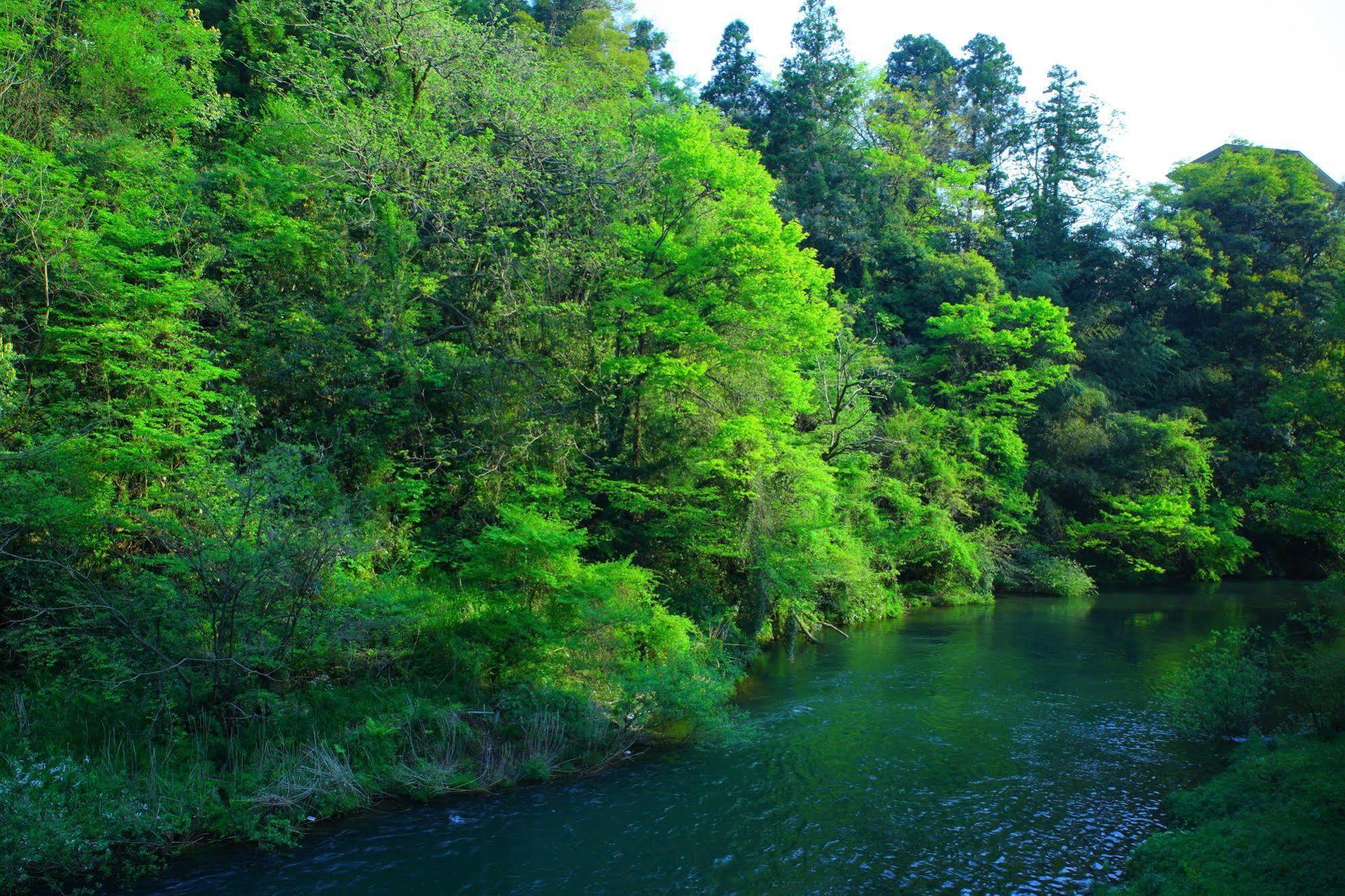 Yamanakaonsen Ohanami Kyubei Kaga  Ngoại thất bức ảnh